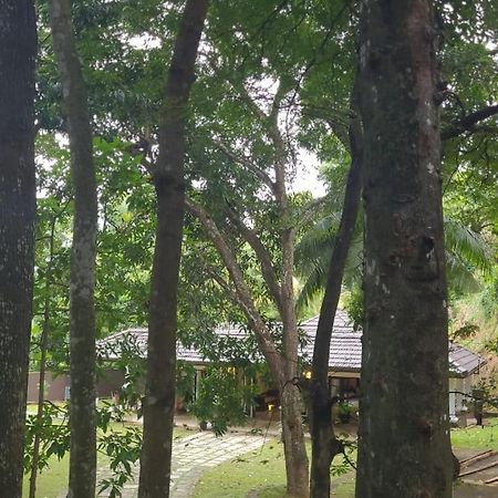 Villa D55 Kandy Exterior photo