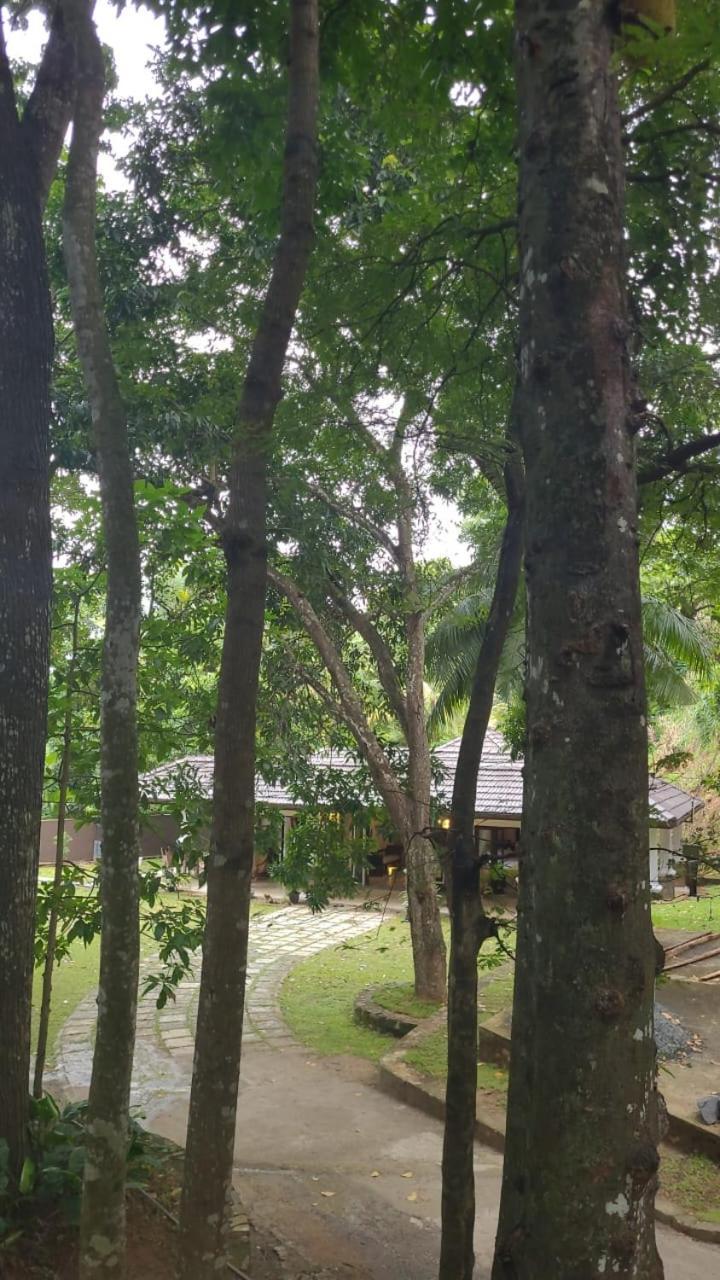 Villa D55 Kandy Exterior photo
