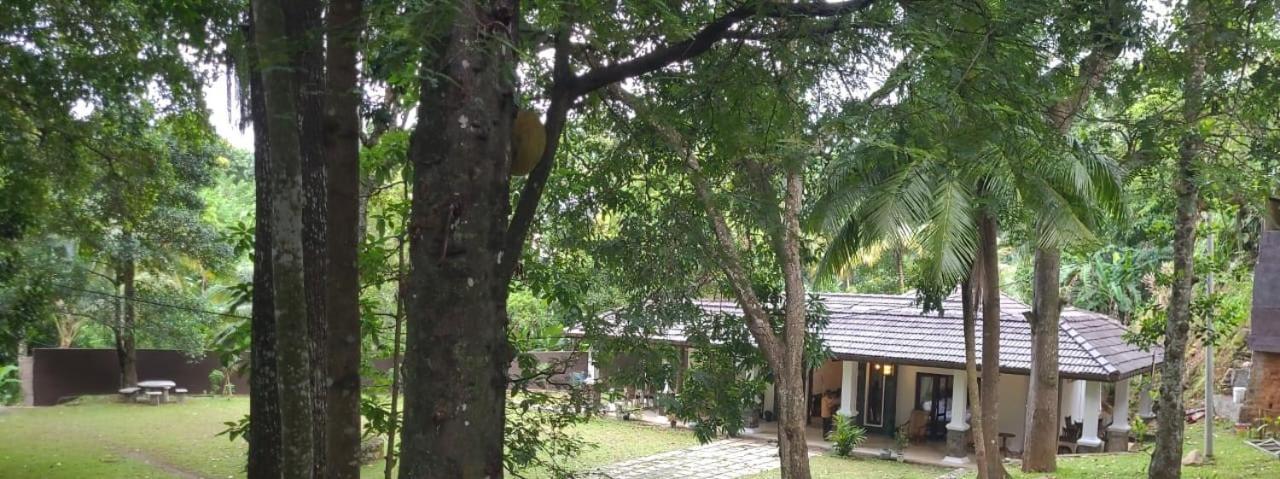 Villa D55 Kandy Exterior photo